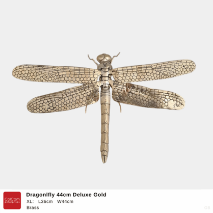 Brass Dragonfly – Polished Gold (5 Sizes Available)