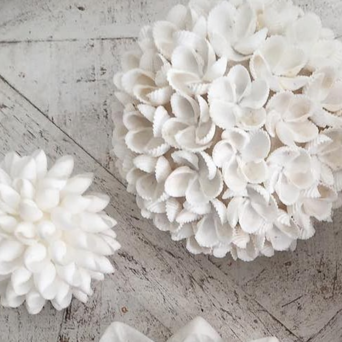 Shell Ball - Frangipani design