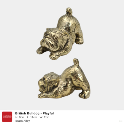 British Bulldog - Playful