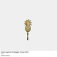 Cayenne Pineapple Wall Hook – Polished Yellow Brass (3 Sizes)