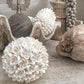 Shell Ball - Frangipani design