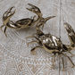 Brass Crabs – 4 Sizes Available