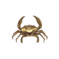 Brass Crabs – 4 Sizes Available