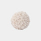 Shell Ball - Frangipani design
