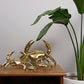 Brass Crabs – 4 Sizes Available